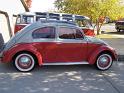 1957-oval-window-beetle-266