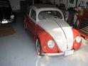 1957-oval-window-beetle-267