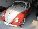 1957-oval-window-beetle-268