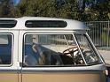 1964 21 Window Deluxe VW Bus Window Close-Up