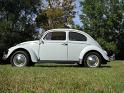 1964-vw-beetle-476