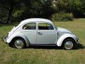 1964-vw-beetle-483