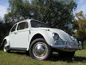 1964-vw-beetle-484