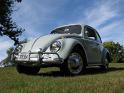 1964-vw-beetle-493