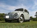 1964-vw-beetle-603