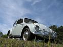 1964-vw-beetle-637