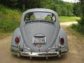 1966-vw-beetle-354