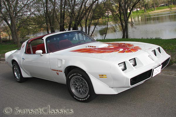 HOOD - PONTIAC TRANS AM -