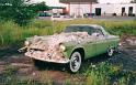 56-t-bird-history10