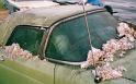 56-t-bird-history6