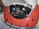 1957-oval-window-beetle-272