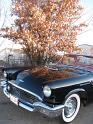 1957 Ford Thunderbird Close-up