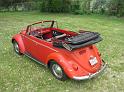 1959 VW Beetle Convertible Rear