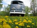 1959-vw-double-door-van-287