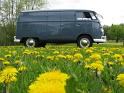 1959 VW Double Door Panel Van Passenger Side