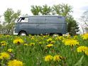 1959 VW Double Door Panel Van Drivers Side