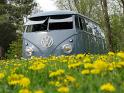 1959 VW Double Door Panel Van Front Safari Windows