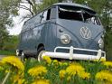 1959 VW Double Door Panel Van Front