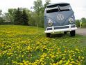 1959 VW Double Door Panel Van