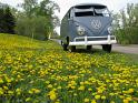 1959 VW Double Door Panel Van