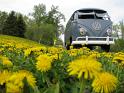 1959-vw-double-door-van-457