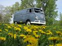 1959 VW Double Door Panel Van for Sale