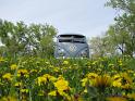 1959 VW Double Door Panel Van