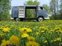 1959 VW Double Door Panel Van Doors Open