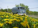 1959-vw-double-door-van-621