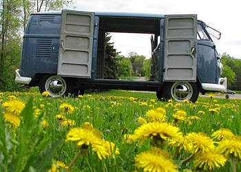 1959 VW Double Door Panel Van