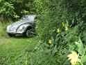 1962-vw-sunroof-beetle-017
