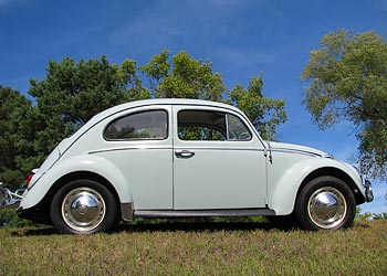 1964 VW Beetle for sale