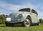 1964 VW Beetle