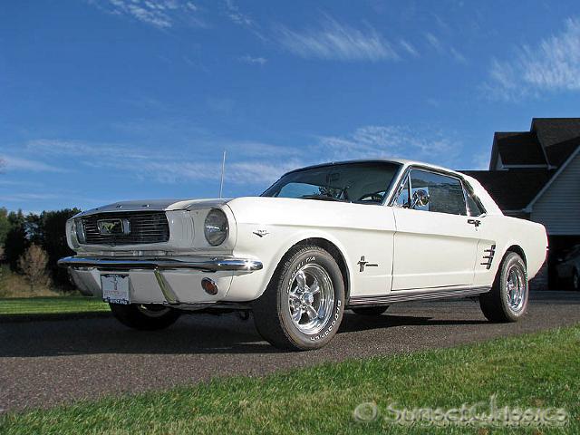 1966-ford-mustang-289-for-sale.jpg