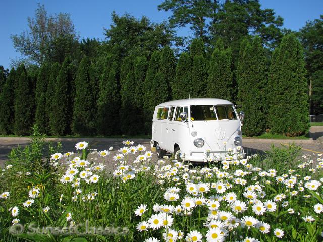 1966-vw-walk-through-bus-1748.jpg