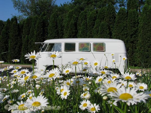 1966-vw-walk-through-bus-738.jpg