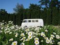 1966-vw-walk-through-bus-1719