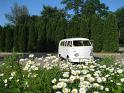 1966-vw-walk-through-bus-1748