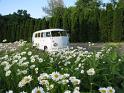 1966-vw-walk-through-bus-860