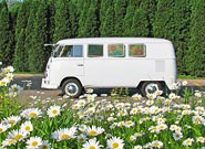 1966 Walk Through VW Bus