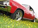 1967-chevelle-ss891