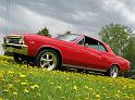 1967-chevelle-ss916