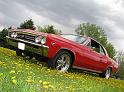1967-chevelle-ss921