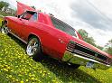 1967-chevelle-ss951