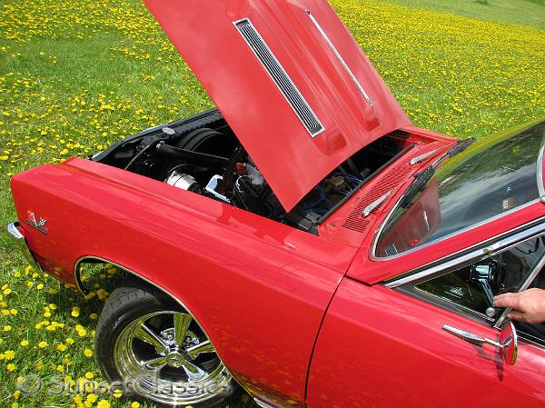 1967-chevelle-ss8959.jpg