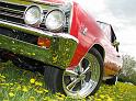 1967-chevelle-ss8925