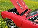 1967-chevelle-ss8959