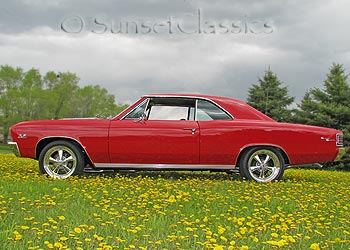 1967 Chevelle SS in field of dandelion