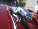 1967 3.8L Jaguar S-Type hood ornament