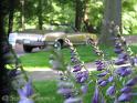 1970-cutlass-convertible-art-flower